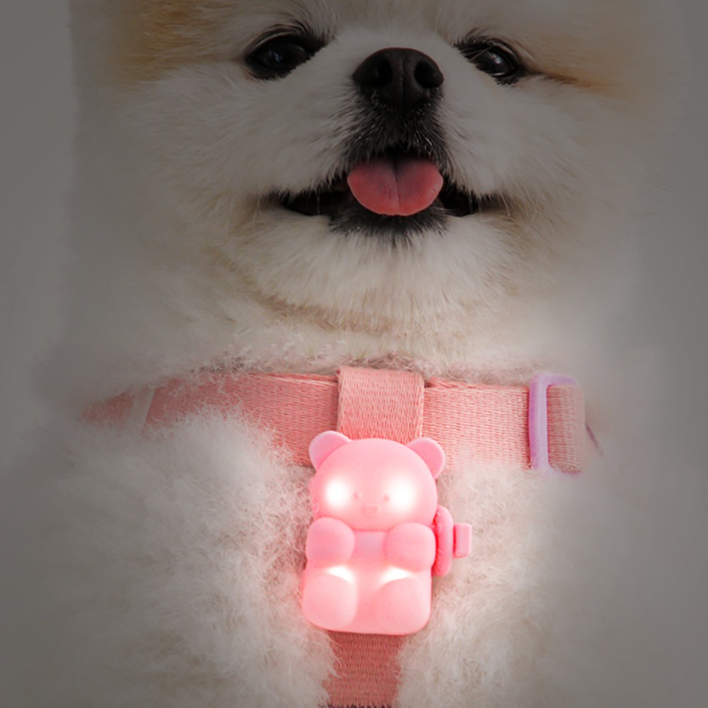 閃閃熊LED散步燈 - 可充電式