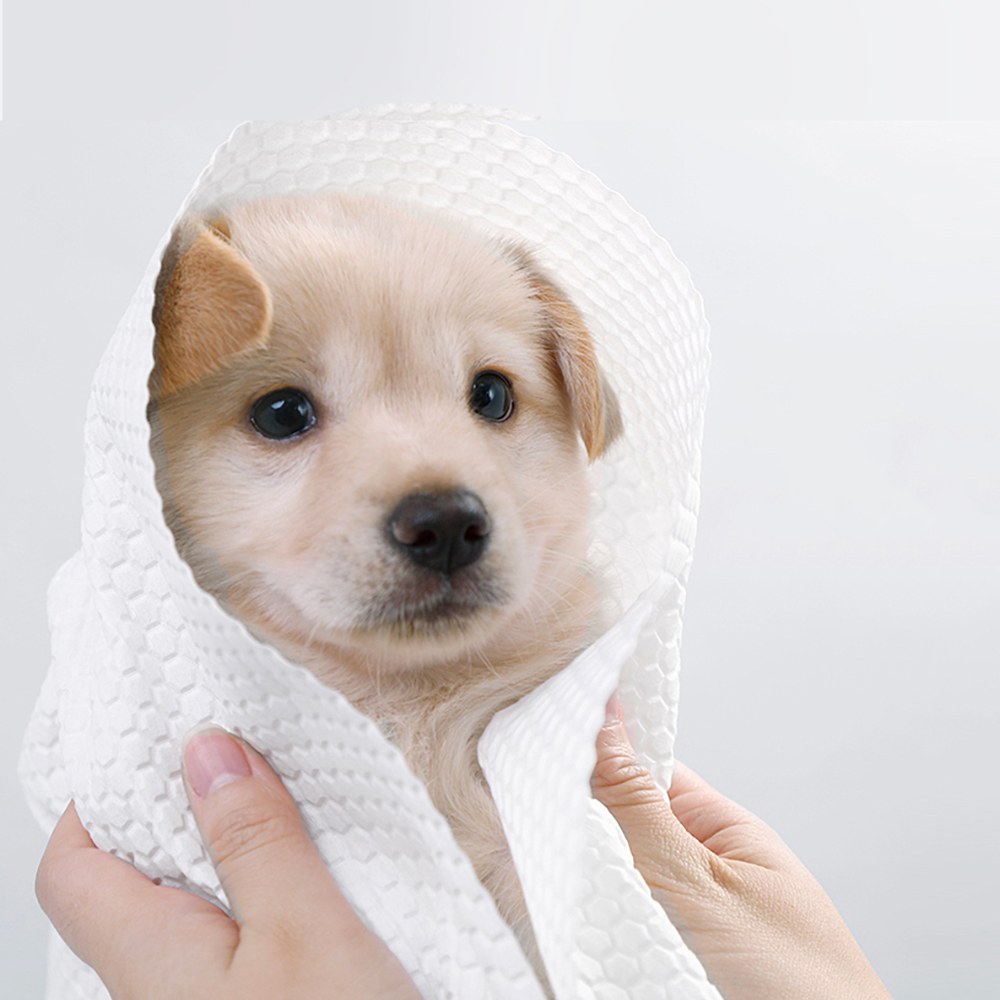 寵物護理用品 - 一次性浴巾