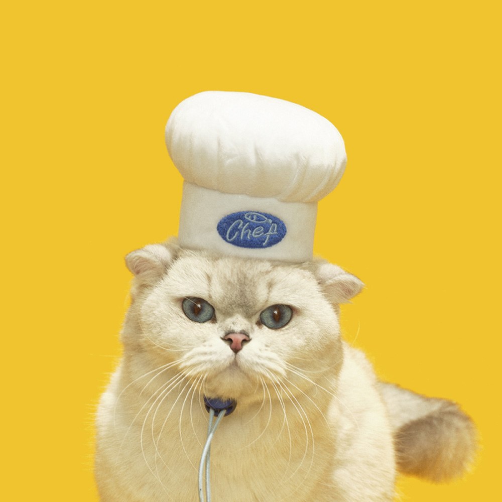 寵物頭套 - 廚師帽