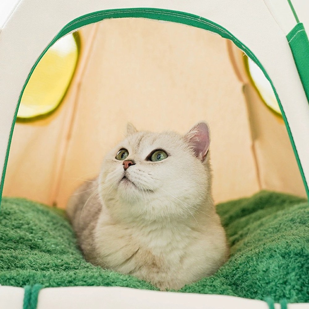 圓頂寵物帳篷 - 白綠拼接