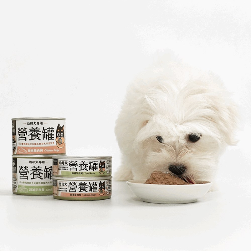 幼母犬95%營養無膠主食罐 (多種口味)
