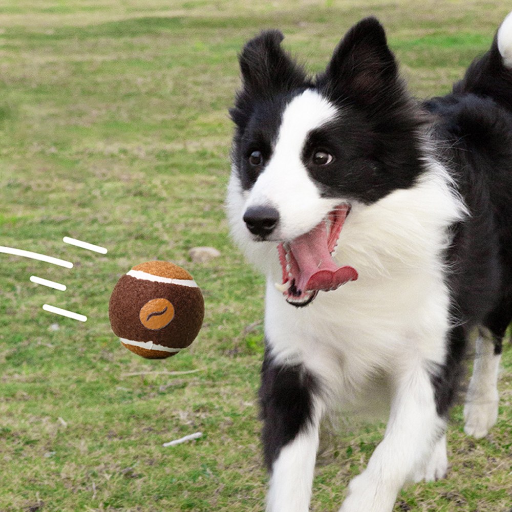 狗用網球玩具 - 咖啡豆袋