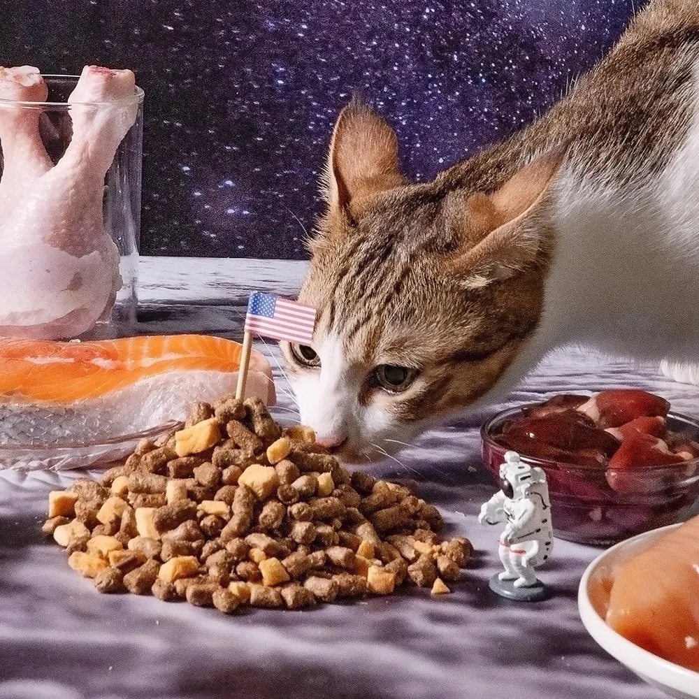 貓用太空凍乾生肉糧 (兩種口味)