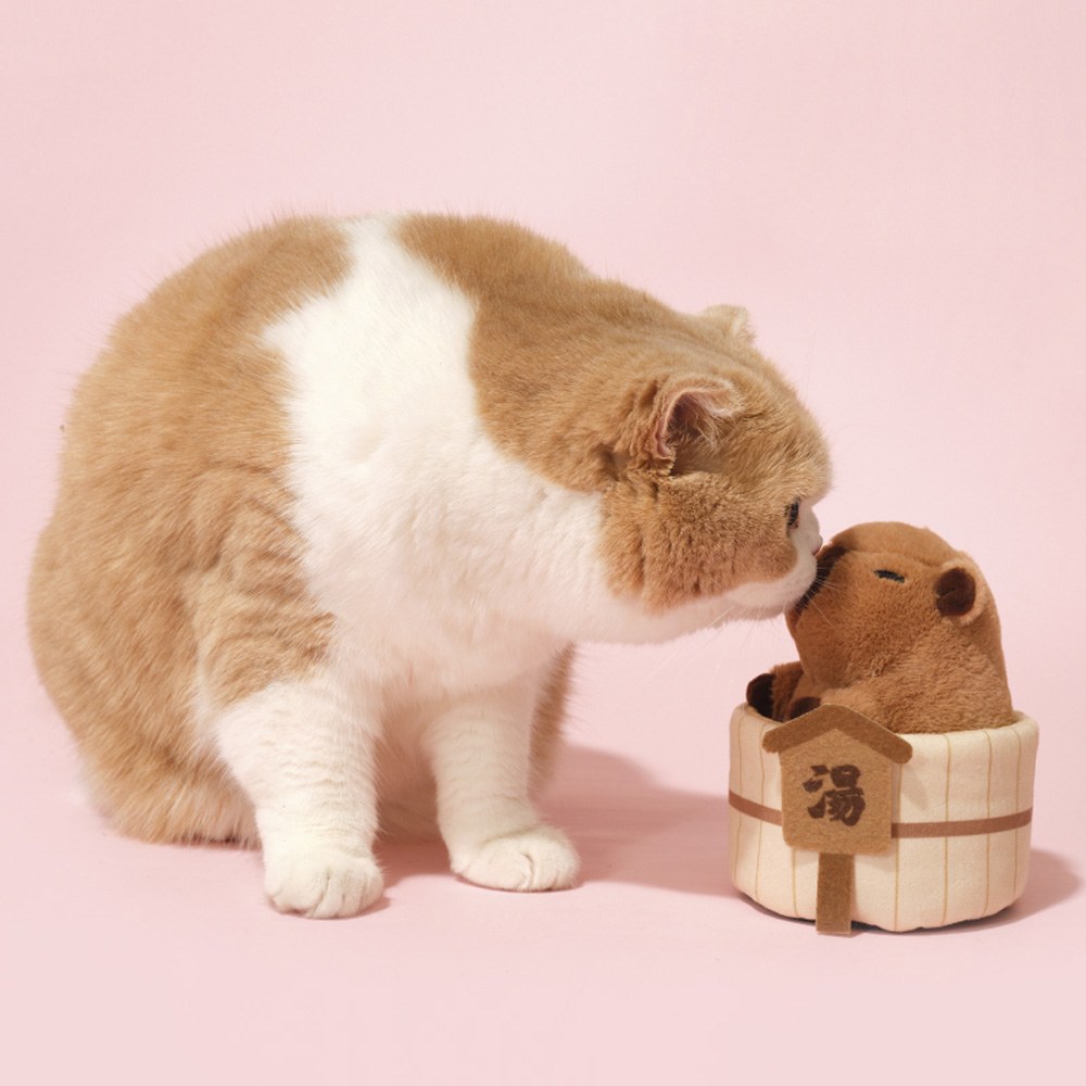 貓薄荷玩具 - 水豚泡澡