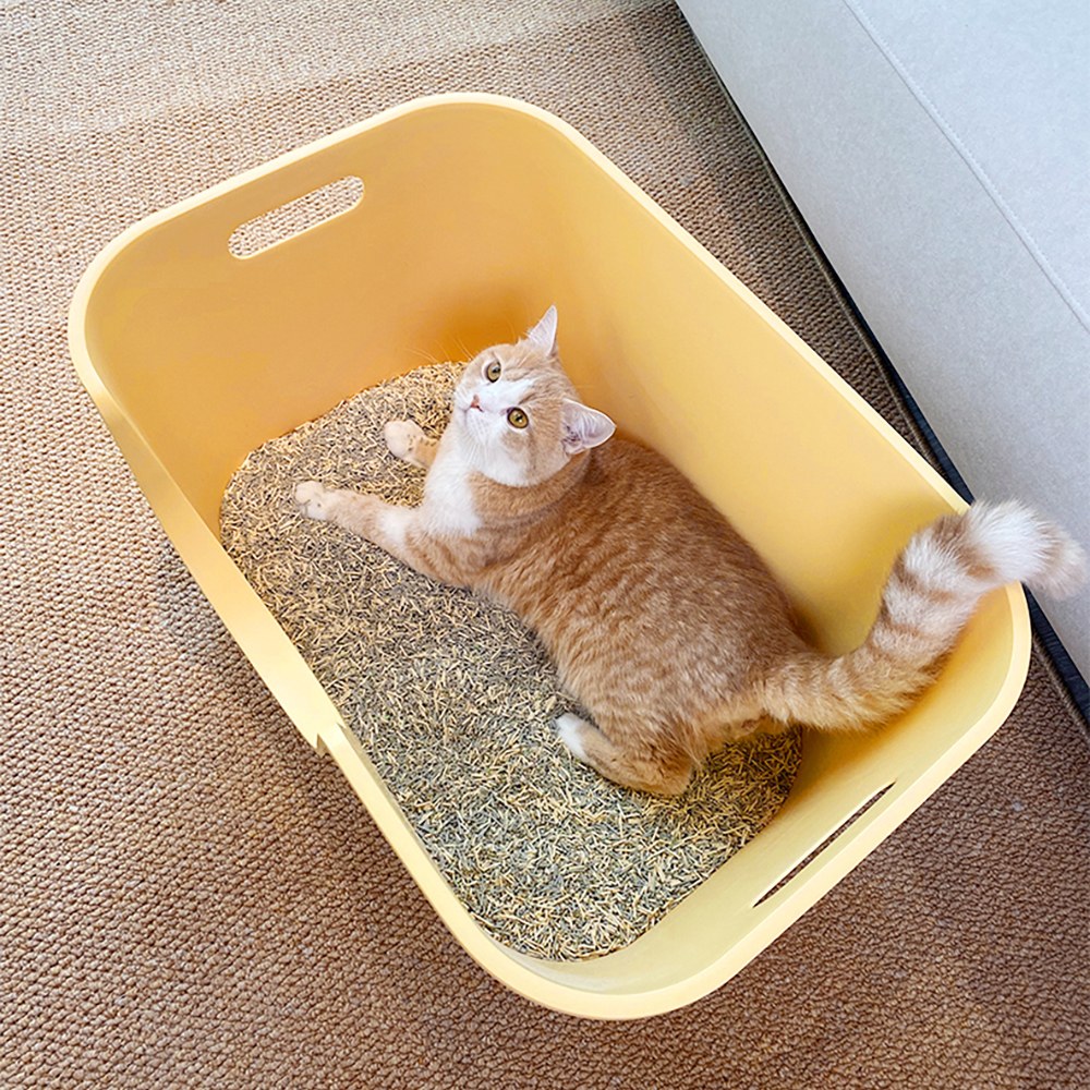 福利品專區 - 大型開放式貓砂盆