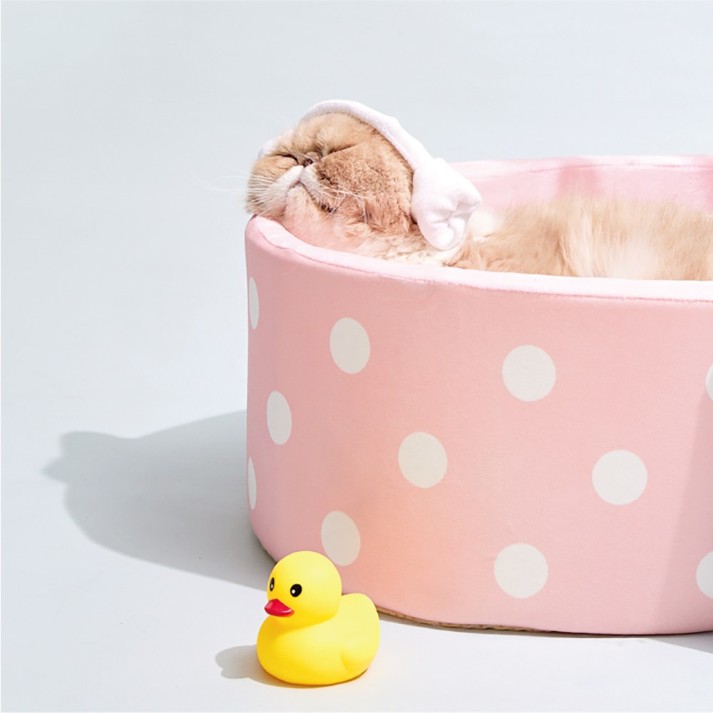 浴缸造型寵物窩