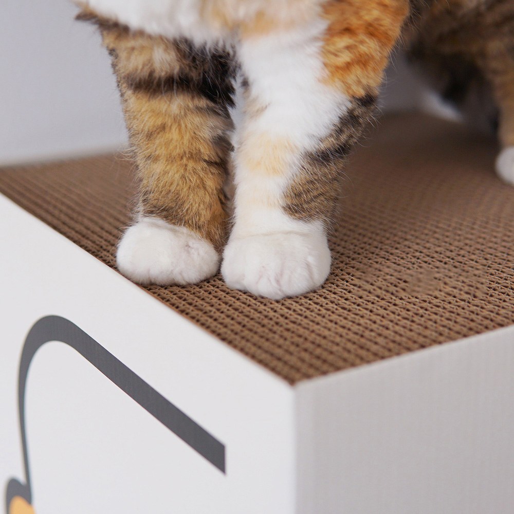 抓板貓窩 - 立方盒