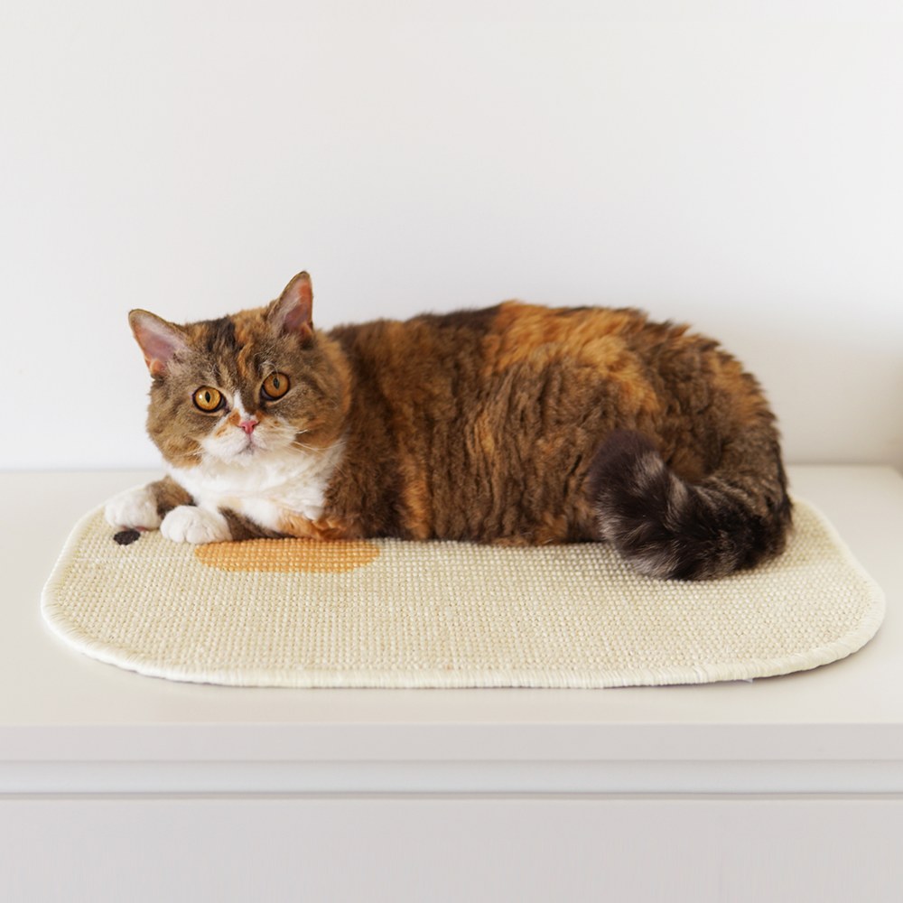 貓抓板系列 - 劍麻磨爪毯