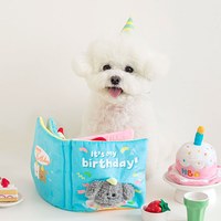 藏食發聲玩具 - Birthday生日書