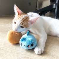 X 貓貓蟲咖波 寵物玩具 (兩款)