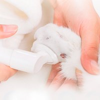 寵物護理用品 - 肉墊清潔泡沫
