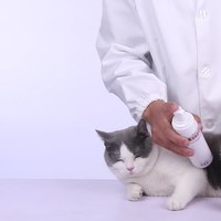 寵物護理用品 - 全身免洗泡沫