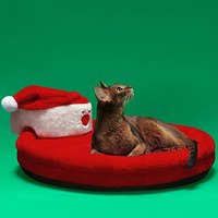 寵物睡窩 - 聖誕老人抱抱窩