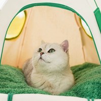 圓頂寵物帳篷 - 白綠拼接