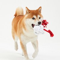 聖誕系列犬用咬繩 (多款)