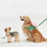 福利品專區 - 犬用牽引繩三合一套裝