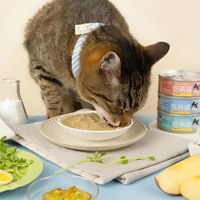 貓用低磷低蛋白主食罐 (多種口味)