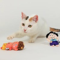 貓薄荷玩具 (兩款)