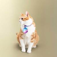 貓咪領帶 (多款)