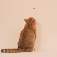 福利品專區 - 貓爪激光逗貓器