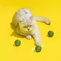 豌豆劍麻球貓玩具 - 豌豆