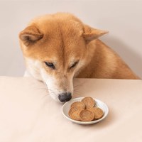 毛孩手做零食 (多種口味)