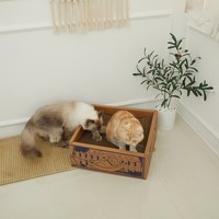 貓體工學貓抓盒