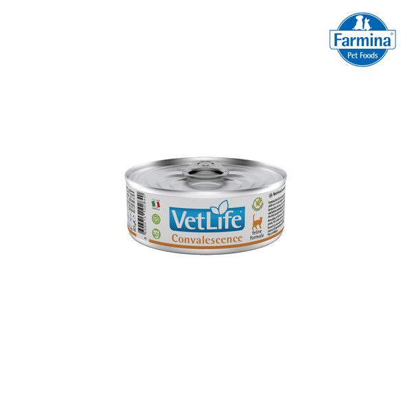 VetLife 天然處方貓罐 - 高營養照護配方